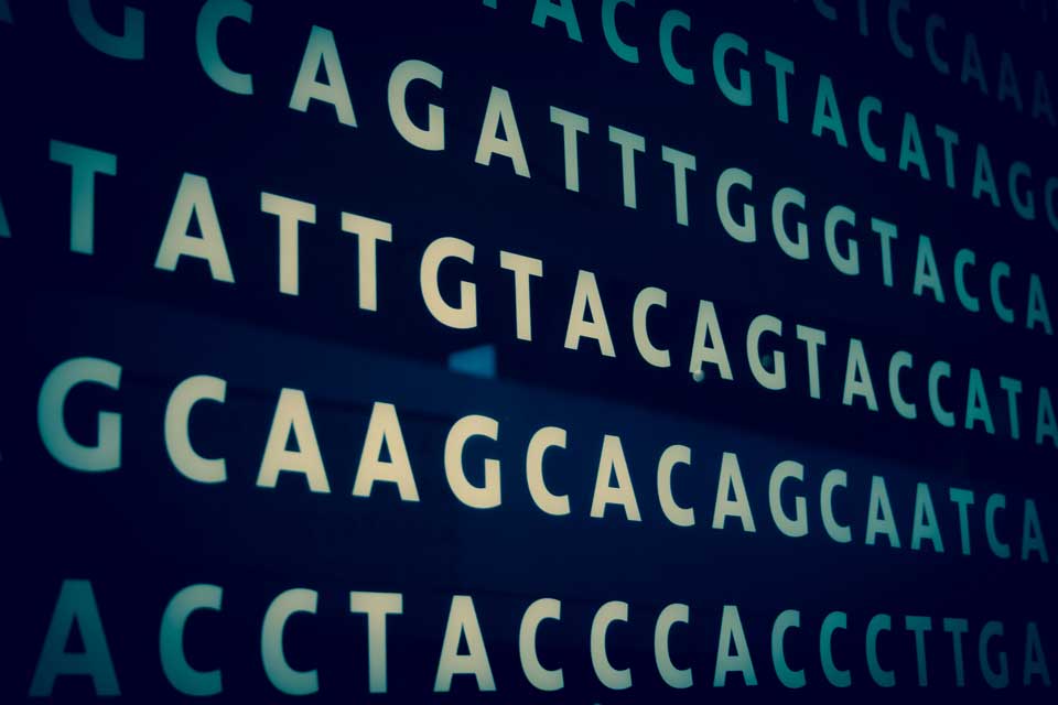 Encoded DNA Sequence