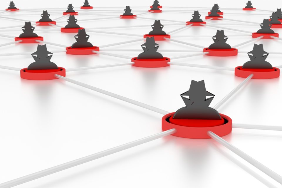 IoT Botnet Hide n Seek HNS