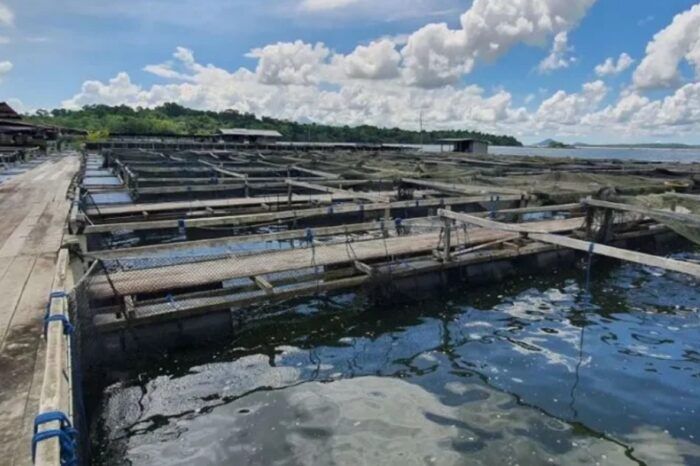 Überwachung der Wasserqualität: Sensor für Sensor eine Nation ernähren